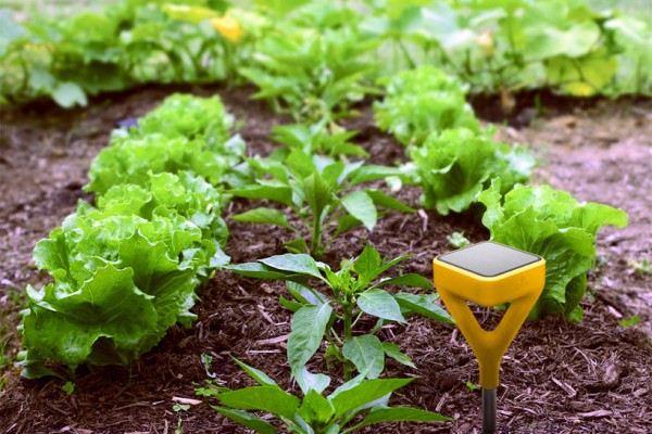 Indispensable Tool for Modern Gardeners