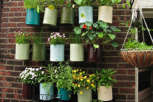 Make your own garden indoors