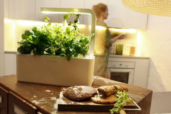 click-and-grow-technology-of-the-future