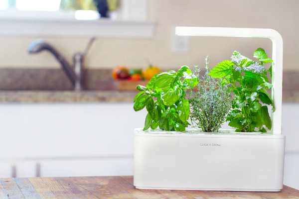click-and-grow-technology-of-the-future