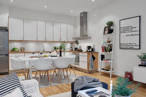 small-nordic-apartment