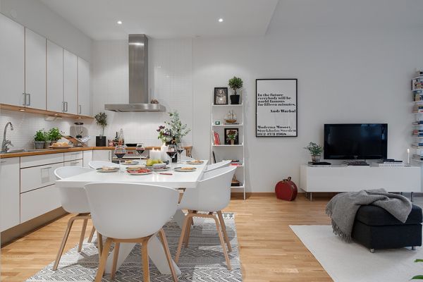 small-nordic-apartment