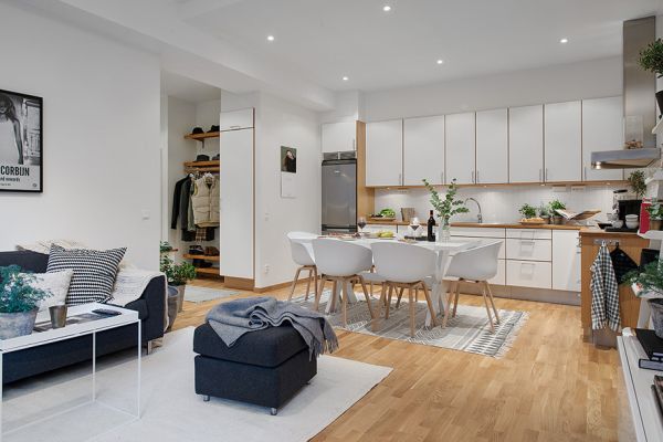 small-nordic-apartment