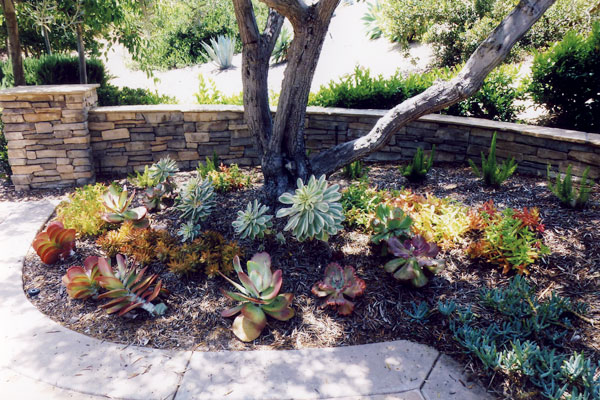 take-care-of-your-garden-better
