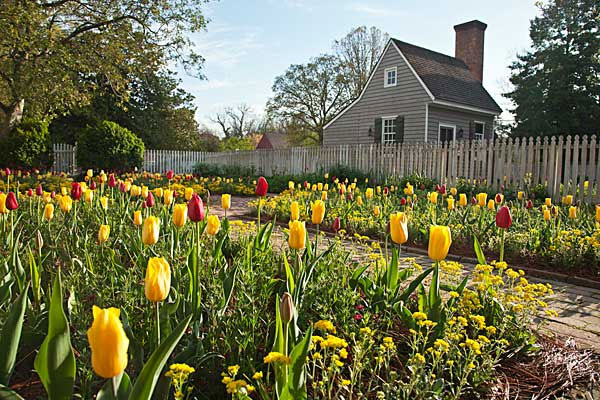 take-care-of-your-garden-better