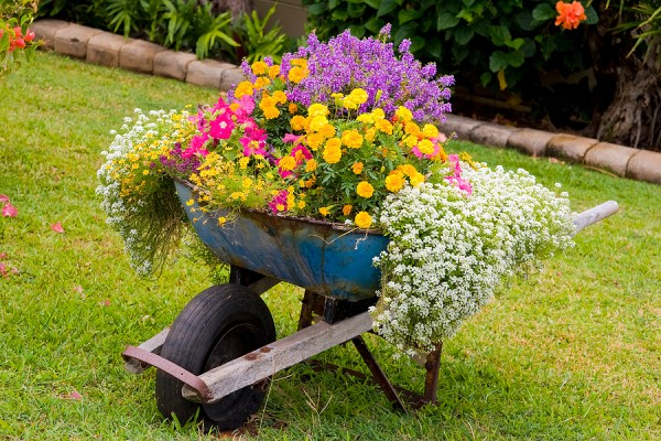 take-care-of-your-garden-better