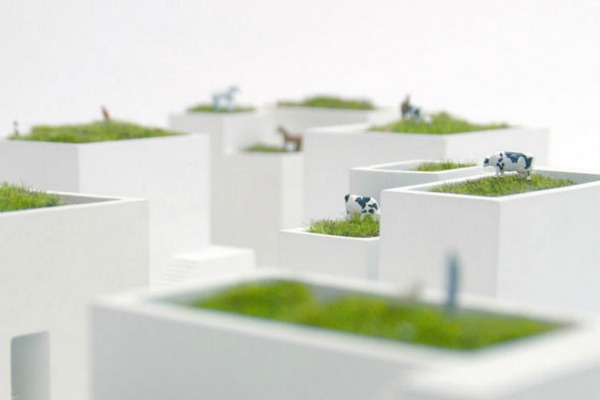 flower-pots-in-the-form-of-mini-homes