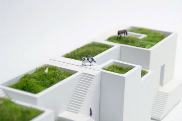 flower-pots-in-the-form-of-mini-homes