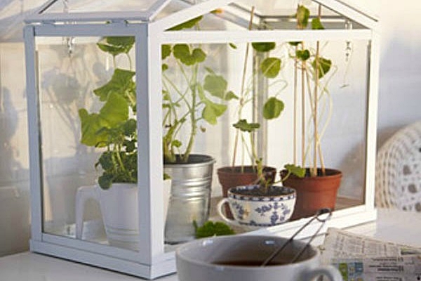 ikea-mini-greenhouse