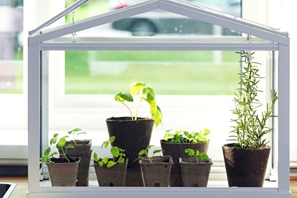 IKEA mini greenhouse