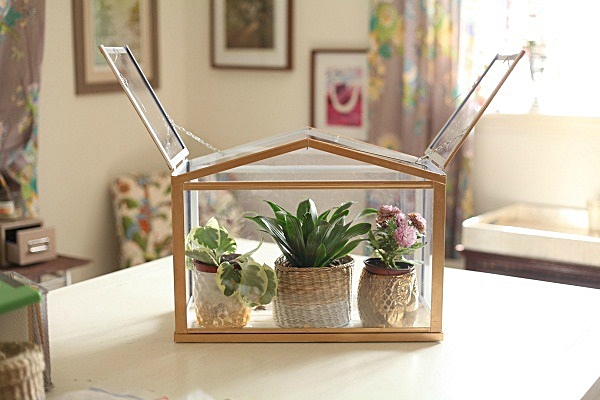 ikea-mini-greenhouse