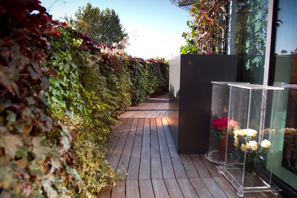 the-vertical-garden-on-the-terrace