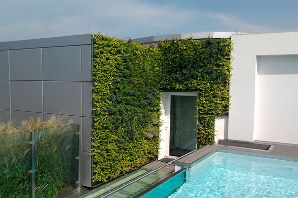 the-vertical-garden-on-the-terrace
