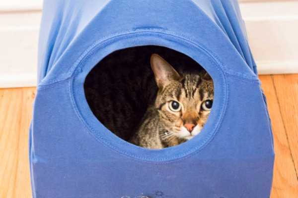 diy-cat-tent