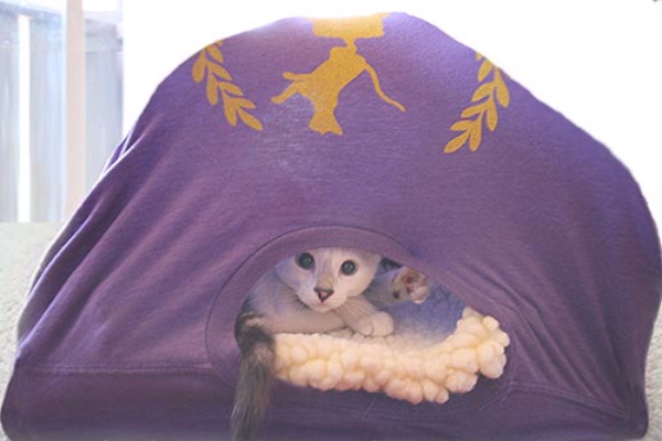 diy-cat-tent