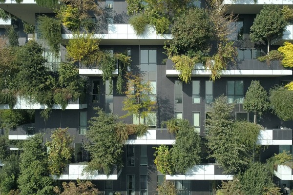 Homes adjusted to greenery