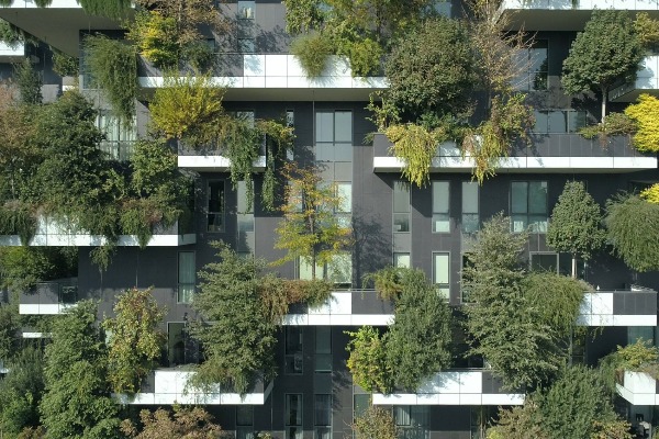 homes-adjusted-to-greenery