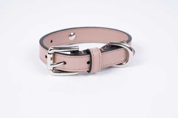 dovico-firenze-presents-chic-accessories-for-dogs