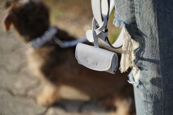 dovico-firenze-presents-chic-accessories-for-dogs